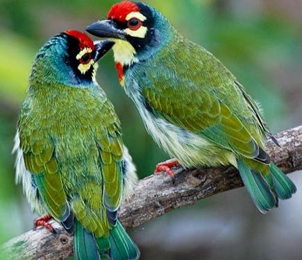 সংক্ষিপ্ত বিশ্ব সংবাদ-২০ (৭-৮-১২) 7