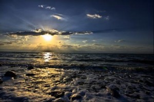 মৃত সমুদ্র