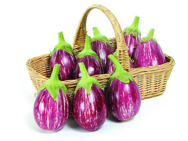 Eggplant_Calliope_JohnnysSelectedSeeds