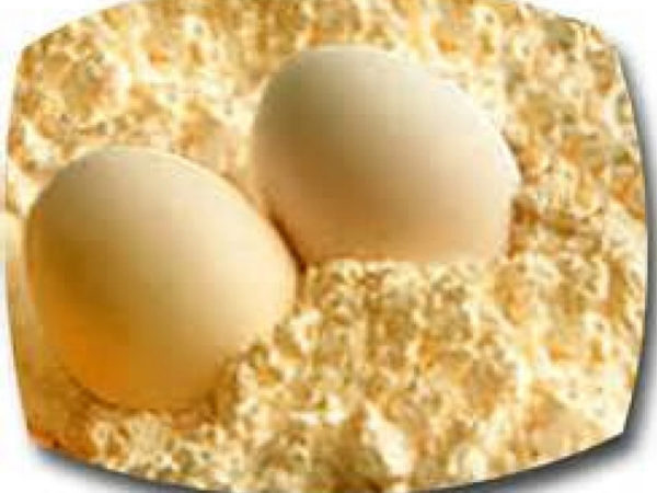 powder eggs