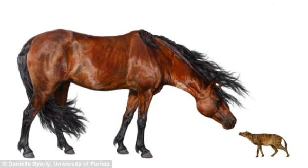 Ancient-Horse-And-Modern-day-Horse