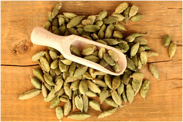 Cardamom role of health protection