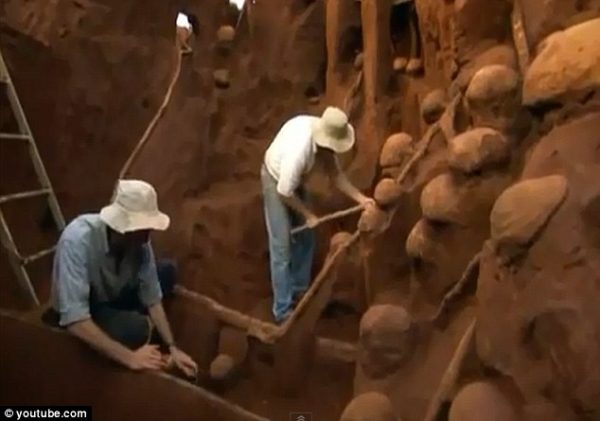 Giant-Ant-Colony-Built-Underground