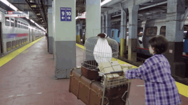 anigif_enhanced-buzz-29020-1384886931-0