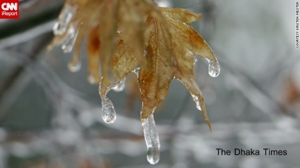 131211090040-ice-brown-leaves-irpt-horizontal-gallery