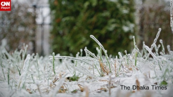 131211090131-ice-grass-irpt-horizontal-gallery