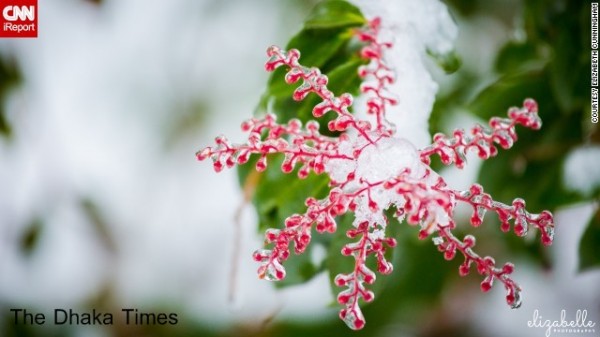 131211090151-ice-red-irpt-horizontal-gallery