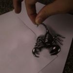 দেখে নিন পেন্সিলে আঁকা অসাধারণ কিছু 3D ছবি! 6