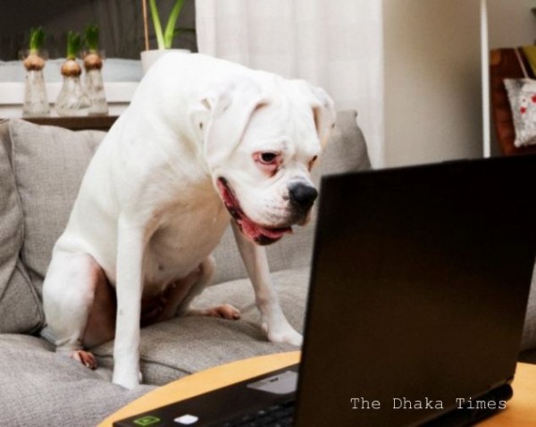 article-2527040-1A38CC3400000578-16_634x506