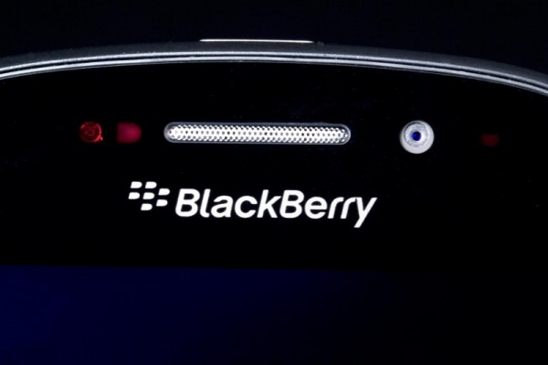 blackberry-800x533