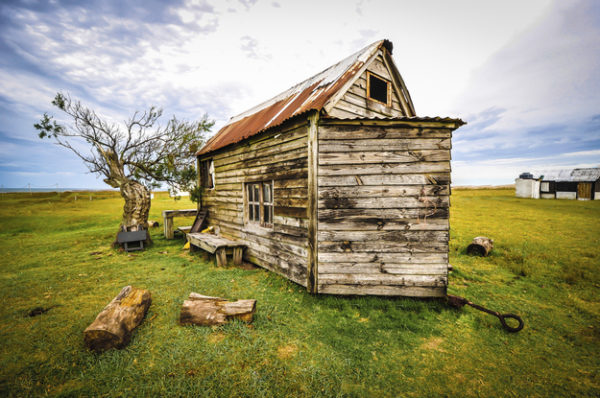 enhanced-buzz-22563-1386109051-23