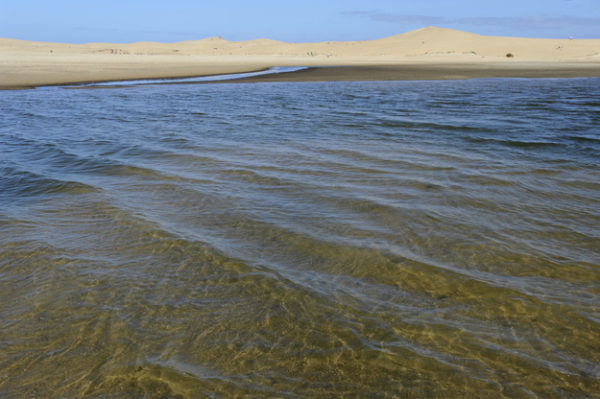 enhanced-buzz-26270-1386108968-11