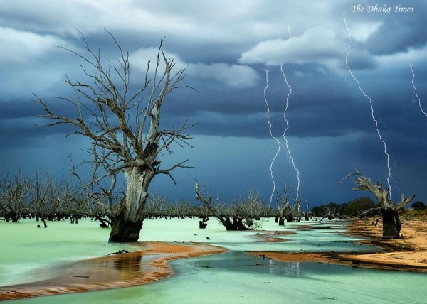 national-geographic-photo-contest-winners-2013-3