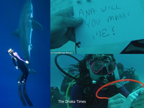 article-2540115-1AB0B1C800000578-132_634x333_Fotor_Collage