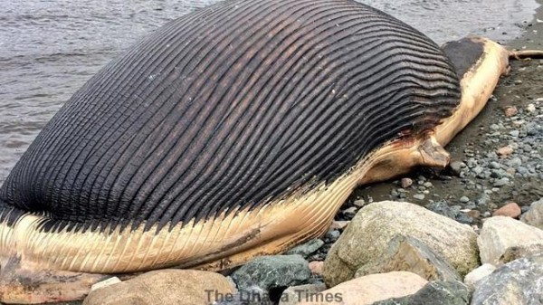 537707-eedba316-d084-11e3-ae84-eacdfc097015