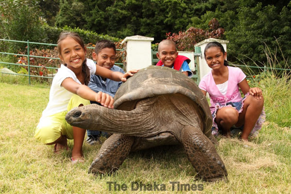 182-year-old-tortoise-jonathan-1
