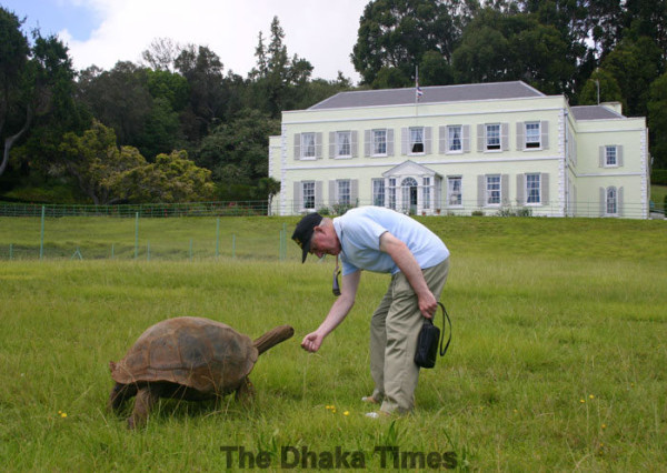 182-year-old-tortoise-jonathan-16