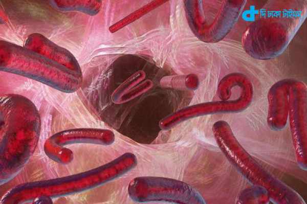 Ebola virus & blood-02