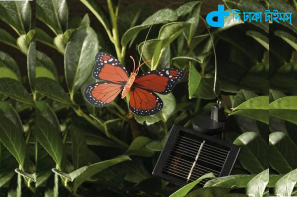 Solar Butterfly