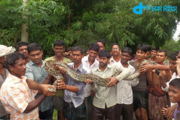 Sreemangal recovered from the BOA