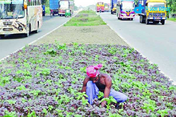 Vegetable farming highway