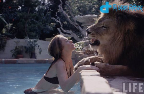 pet-lion-neil-film-michael-rougier-2_result