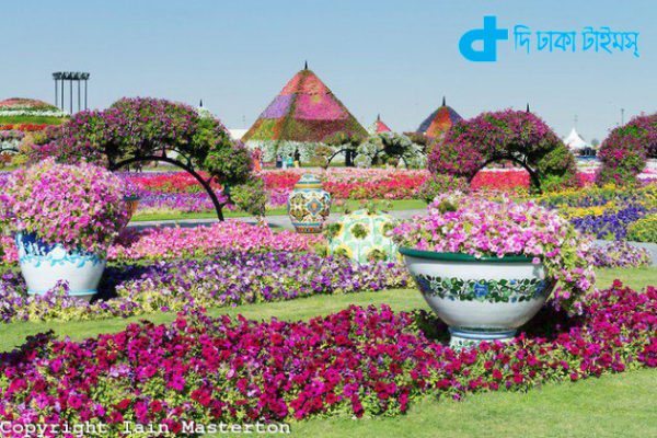 dubai-miracle-garden-05