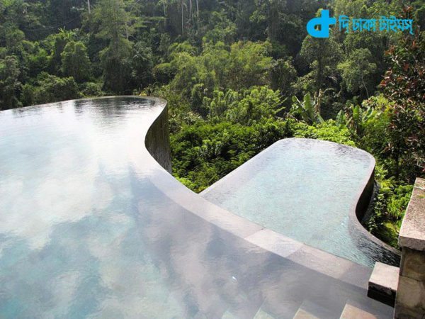 Natural bloom 10 Hotels-15