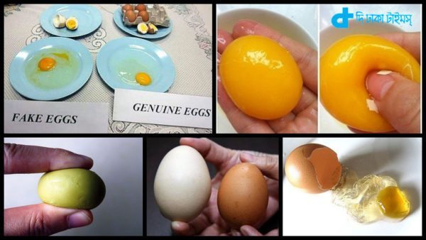 fake eggs