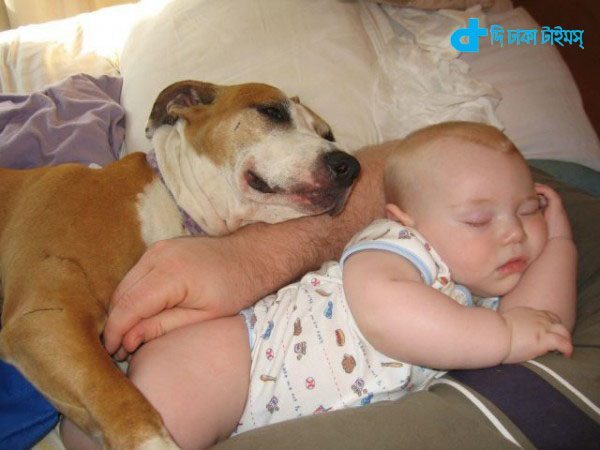 Children and dog relationship-5