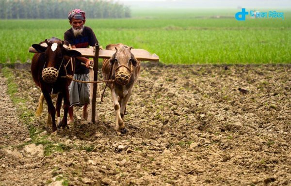 Farmer plowing