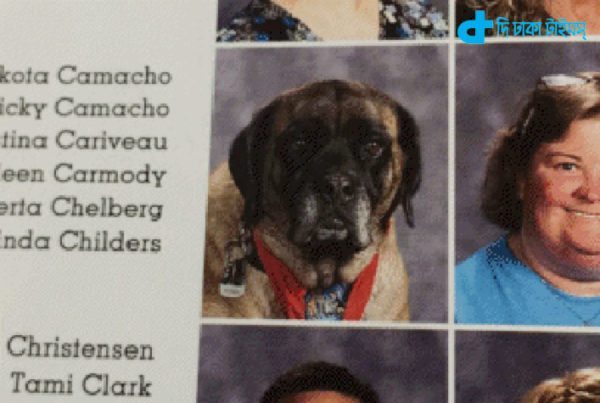 school staff list of dog picture-2