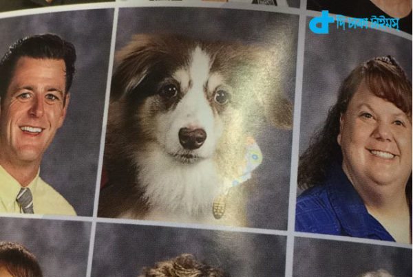 school staff list of dog picture