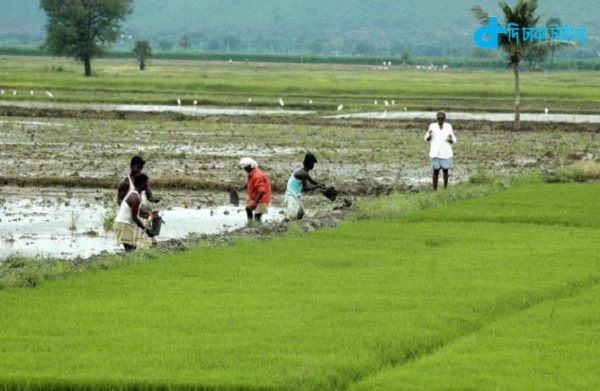 Busy farmers and our rural Bengali