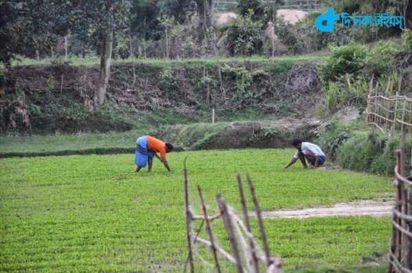 Field cultivation, and our farmer