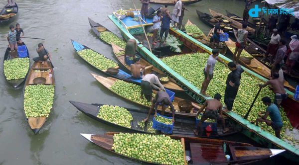 Guava, village & Mass Season