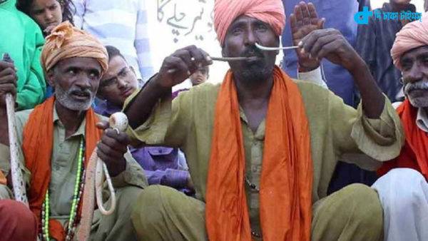 Iqbal's story of a snake charmer playing