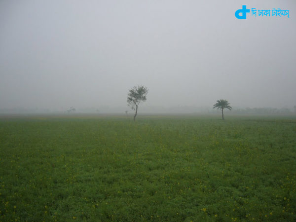 Winter morning in rural Bangladesh