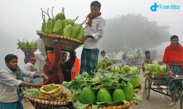 Vegetable farmers in cultivation and marketing