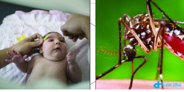 Zika virus how is transmitted-2
