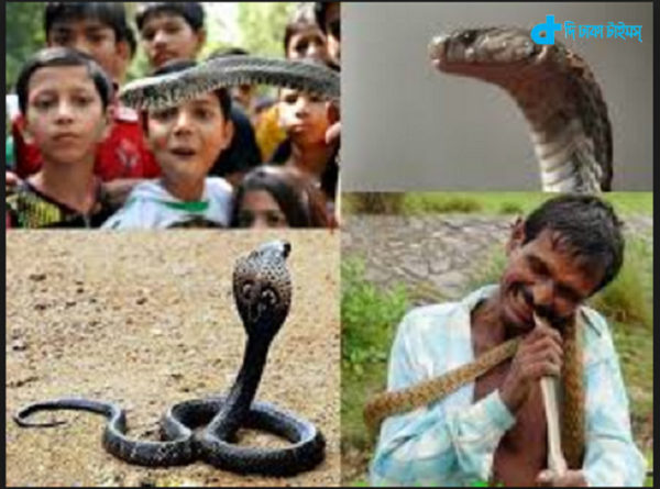 A young man & snake