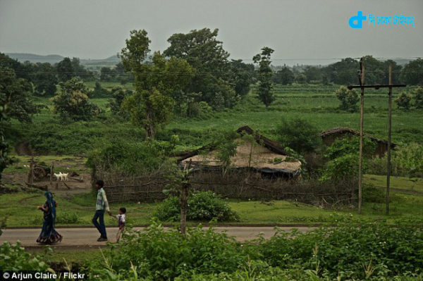 Suicides village strange story