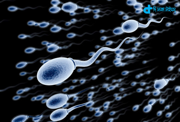 new-zealand-sperm-crisis