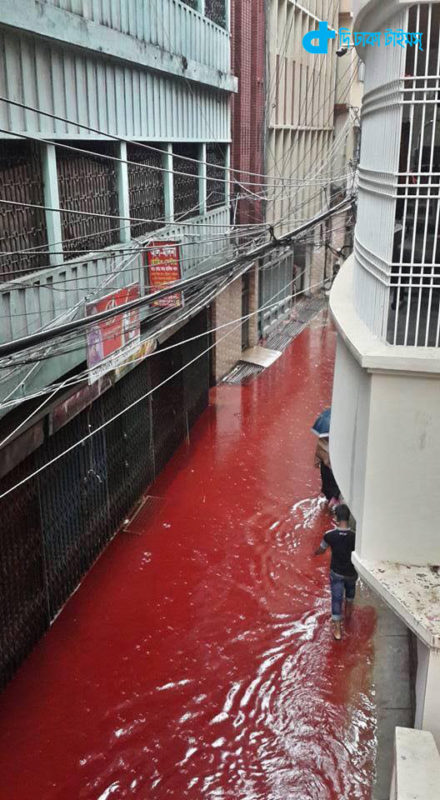 red-blood-river-dhaka-quarbani-3