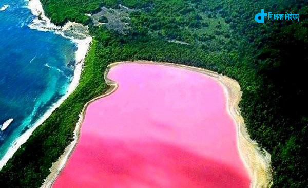 pink-lake-western-australia-2
