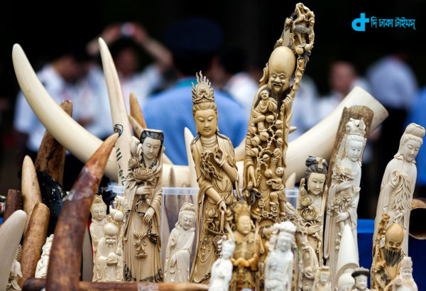 Ivory products are prepared for destruction during a ceremony in Beijing, Friday, May 29, 2015. China's State Forestry Administration and General Administration of Customs officials presided over a ceremony to destroy more than 660 kilograms of ivory that was seized after being smuggled into the country, as part of a crackdown on the illegal trade. (AP Photo/Ng Han Guan)