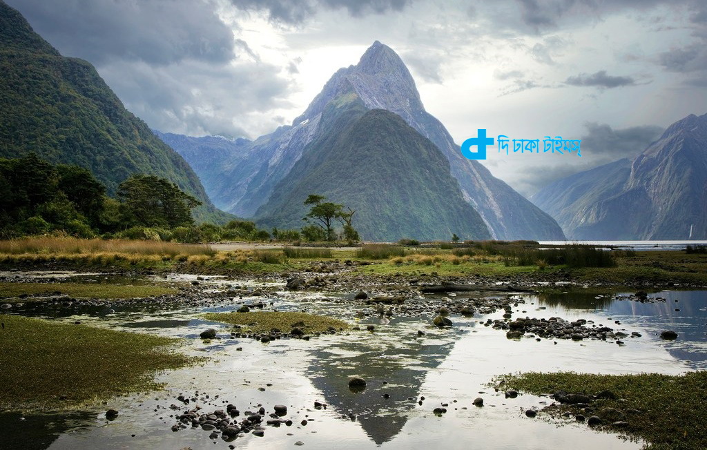 নিউজিল্যান্ডের মিলফোর্ড সাউন্ড: এক অদ্ভুত দৃশ্য 10