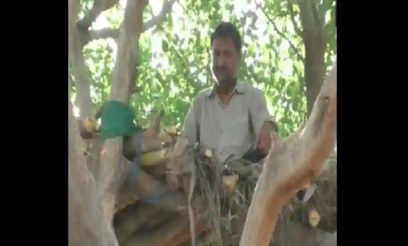 সামাজিক দূরত্ব বজায় রাখার জন্য গাছে অবস্থান! 1