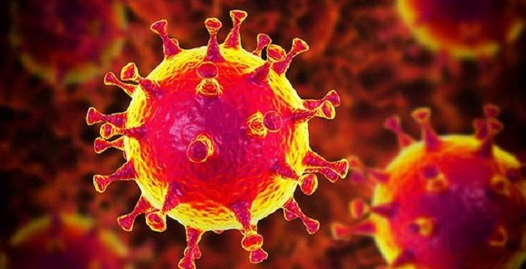 একদিনে ভারতে করোনায় মৃত ৪৮ 1 একদিনে ভারতে করোনায় মৃত ৪৮ 1