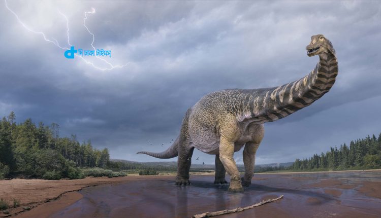 এবার সন্ধান পাওয়া গেছে ডাইনোসারের সবচেয়ে বড় প্রজাতির জীবাশ্মের 1 এবার সন্ধান পাওয়া গেছে ডাইনোসারের সবচেয়ে বড় প্রজাতির জীবাশ্মের 1